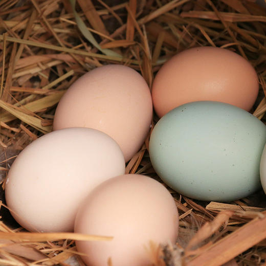 【限量供应】新鲜土鸡蛋 吃水果粮食虫子放养跑山鸡下的蛋30枚 商品图1