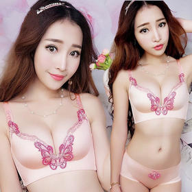 JJ-8802爆款刺绣无痕无钢圈文胸套装性感型胸罩聚拢内衣WY