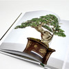DK盆景之书：图解盆景鉴赏·制作·养护技巧 商品缩略图7