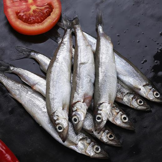 东山野生海鲜多春鱼海鲜专区满139福建省内包邮