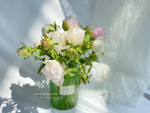 【疯了的油画牡丹】10支/份 第二份减10元 商品图2