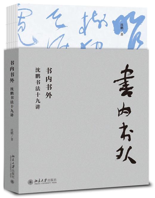 《书内书外：沈鹏书法十九讲》定价：118.00元 作者：沈鹏  著 商品图0