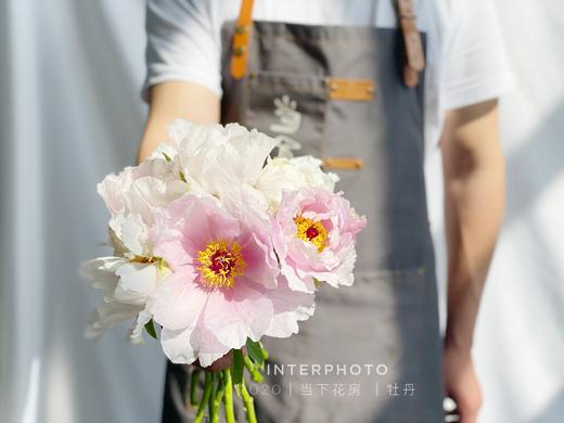 【疯了的油画牡丹】10支/份 第二份减10元 商品图12