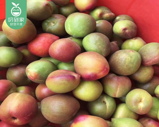 闽南新鲜秘制摇桃/1盒（约900g） 商品图2