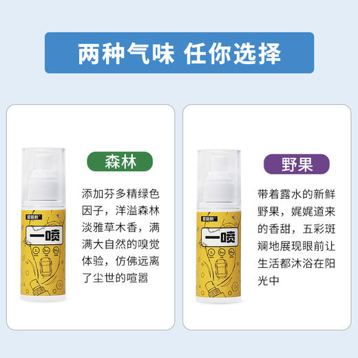 爱丽新 新车新房快速除甲醛除异味 汽车内去味神器 甲醛清除剂 车用家用除醛除异味喷雾 100ml/瓶 商品图3