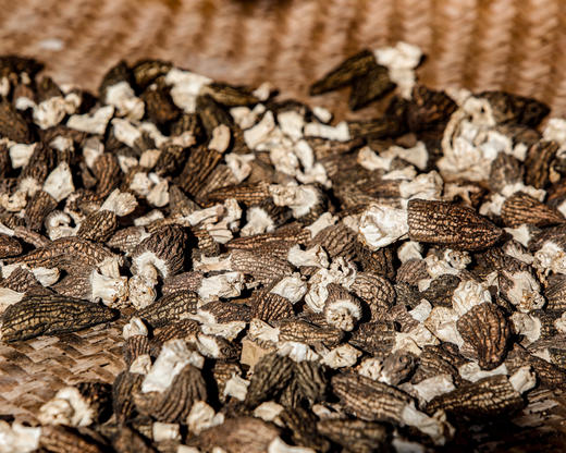 羊肚菌干货（移植，非野生） 商品图1