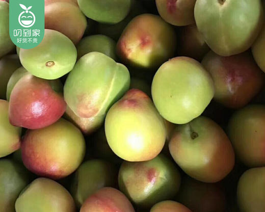 闽南新鲜秘制摇桃/1盒（约900g） 商品图4