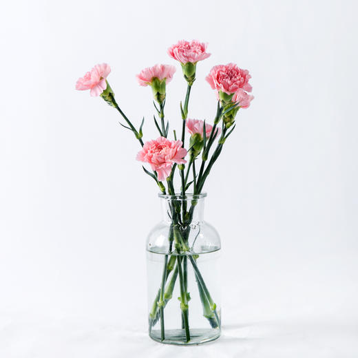 7knx康乃馨粉钻20枝扎