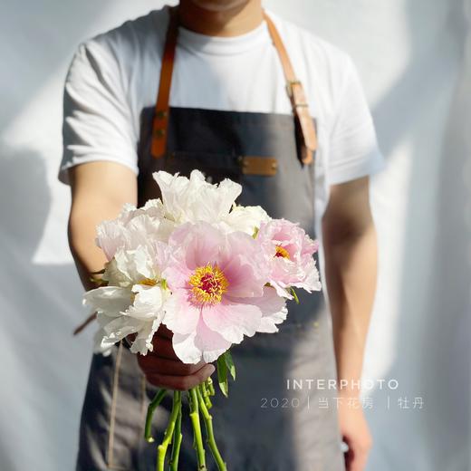 【疯了的油画牡丹】10支/份 第二份减10元 商品图13