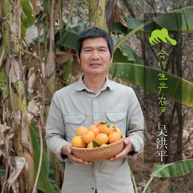 有机沃柑 | 合作生产 *Organic- citrus reiculata Blanco | Coproduction