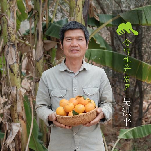 有机沃柑 | 合作生产 *Organic- citrus reiculata Blanco | Coproduction 商品图0