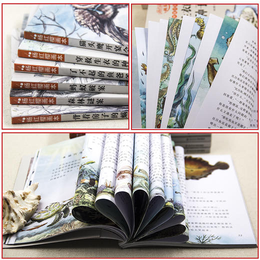 杨红樱科学童话系列画本 全6册正版小学生三四五六年级课外书老师班主任推荐适合8-9-10-12周岁阅读的科学故事书童话画本经典背着房子的蜗牛 商品图2