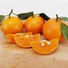 【集鲜号精品茂谷柑】8斤/箱，肉嫩、纯甜、皮薄 商品缩略图3