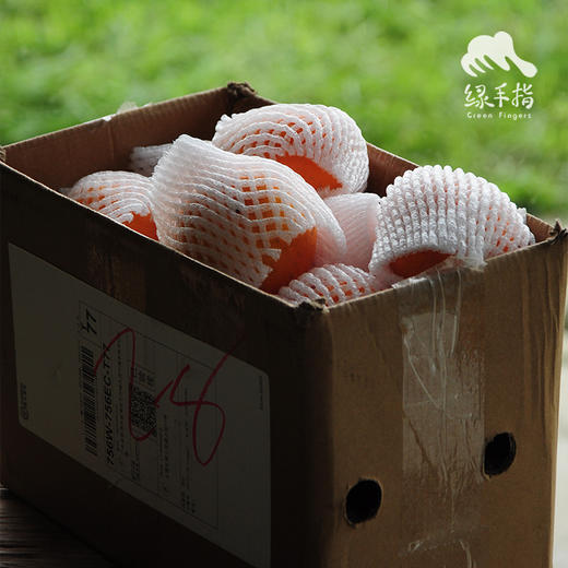 有机沃柑 | 合作生产 *Organic- citrus reiculata Blanco | Coproduction 商品图4