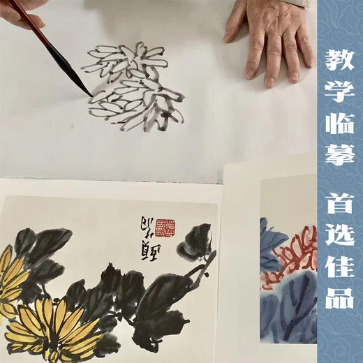 共4册陆抑非吴茀之黄宾虹潘天寿花鸟画南山册页中国美院国画四大家作品高清画集欣赏散页单片装饰画装裱美术技法绘画临摹教学教程浙江摄影出版社 商品图4