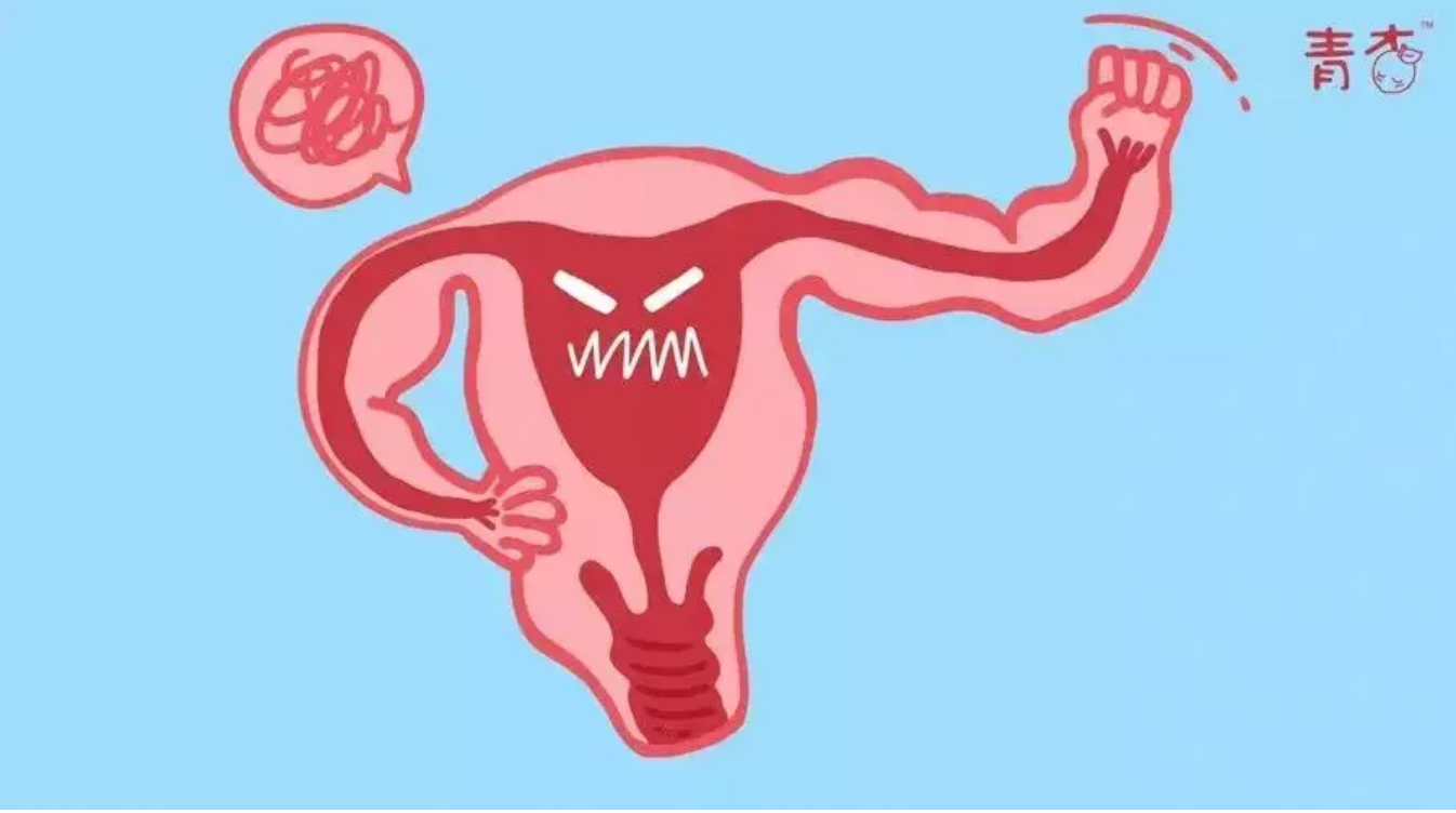 每个女生都需要了解的生理健康知识