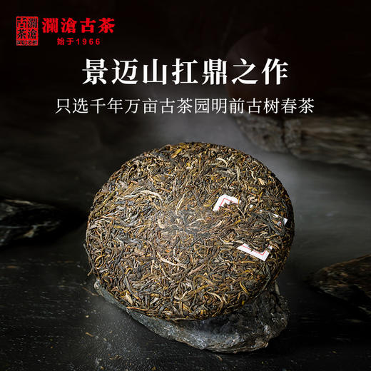 【银卡会员尊享】澜沧古茶2020年001大饼景迈古树春茶普洱茶生茶400克/饼 商品图3