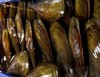 带子贝（鲜活现开） 商品缩略图0