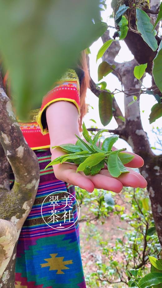 【2020小户赛】当地人称“赛冰岛”！ 商品图3