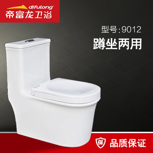 帝富龙 坐便器 9012-300 蹲坐两用 商品图0