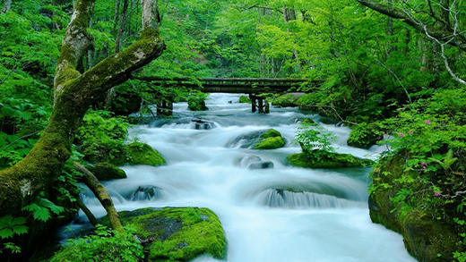 日本东日本东北地区jr pass通票 5日铁路周游券jrpass 商品图1