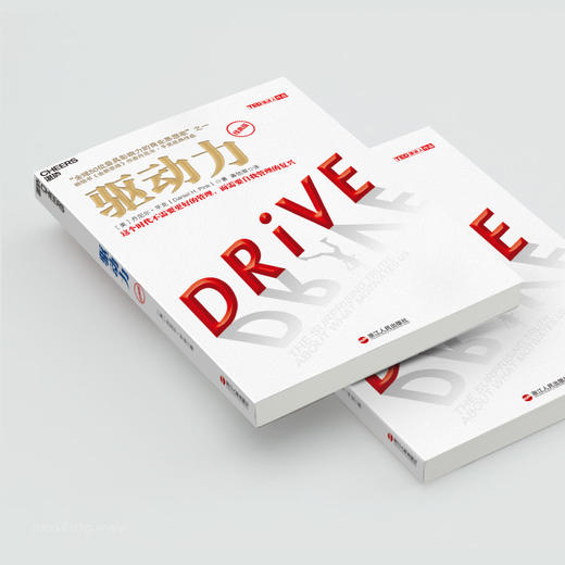 湛庐┃驱动力 经典版 商品图3