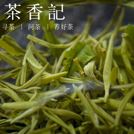 茶香记老茶缘径山茶2020千年历史名茶毫毛显著清香清甜绿茶