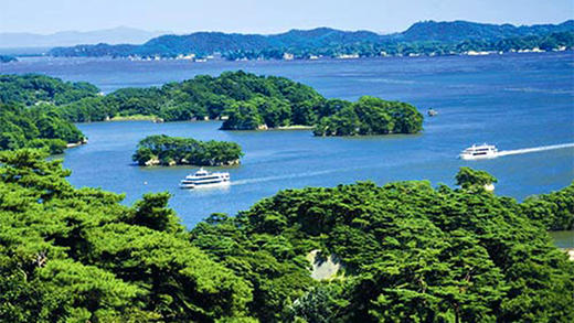 日本JR PASS铁路交通券东北地区 南北海道 6日JRPASS 商品图1