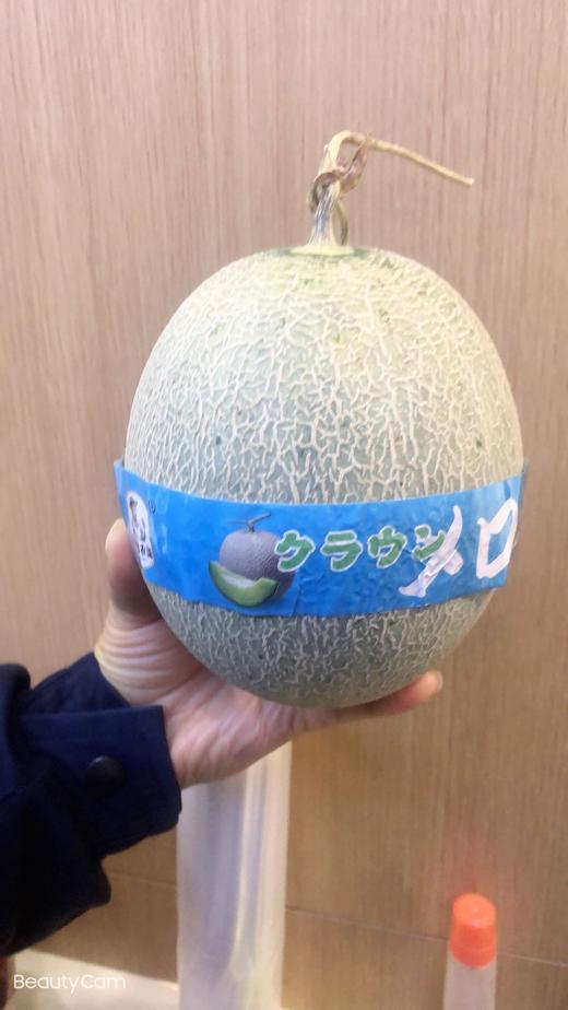 鸿润福农场静冈蜜瓜25kg