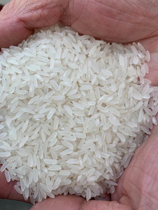 京晶桥米王15kg 商品图1