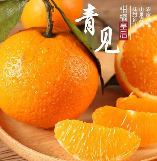 四川青见柑橘10斤桔子新鲜孕妇水果应当季丑蜜橘子时令整箱5包邮