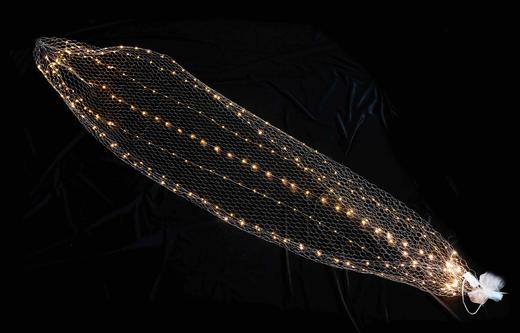 星空网（普通不变色）【运费自理】 商品图3