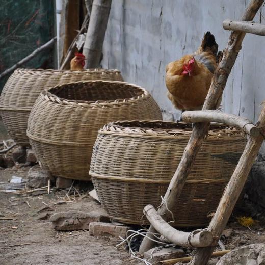皖北土鸡蛋林下散养乡村扶贫 （20枚装  30枚装） 商品图5