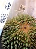 ✈️D200黑刺【榴莲王中王】马来西亚液氮进口榴莲（全球榴莲老大）4斤一枚（发全国） 商品缩略图7