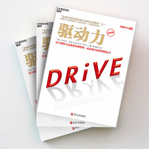 湛庐┃驱动力 经典版 商品图2