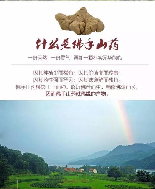 佛手山药2.5kg（内赠一个削皮器） 商品图1