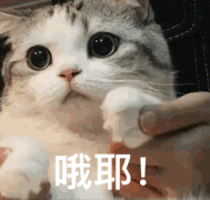 微信图片_20200409143319.gif