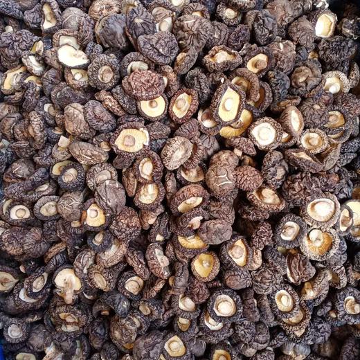 干香菇 商品图0