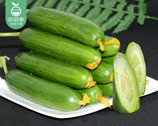 山东新鲜水果黄瓜/1份（约700g） 商品图5