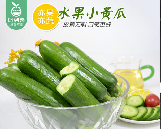 山东新鲜水果黄瓜/1份（约700g） 商品图2