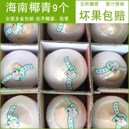 海南椰青 6只和9只装  送开口器和吸管 商品图1