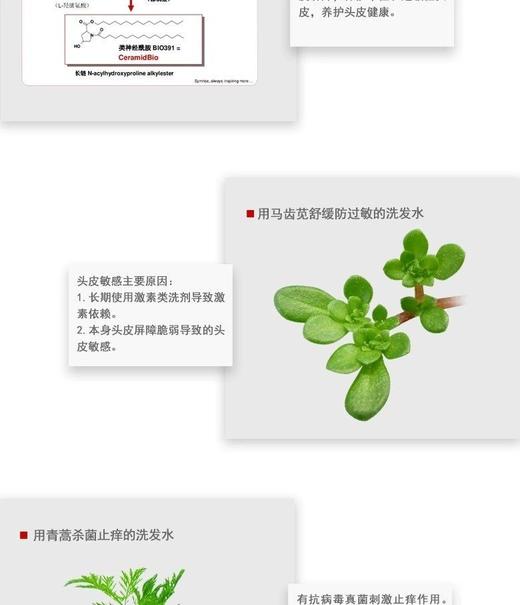 科丽尼青蒿头皮素128m(洗发水) 商品图8