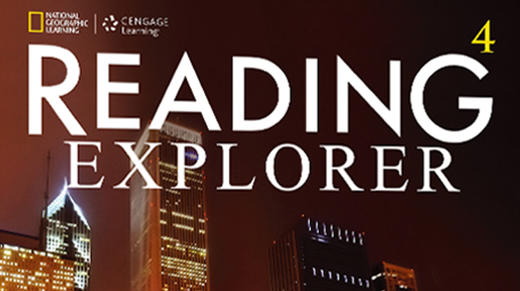 RE 4 级别 音频 商品图0