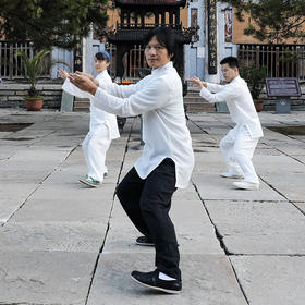 【下单3天后发货】万老师同款太极服 轻柔亚麻棉