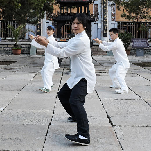 【下单3天后发货】万老师同款太极服 轻柔亚麻棉 商品图0