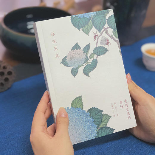 《许渊冲：美得窒息的中英双语诗画集》3册，唯美古典国学必读经典、难字注音，古风插画，带你读懂中国之美 商品图5