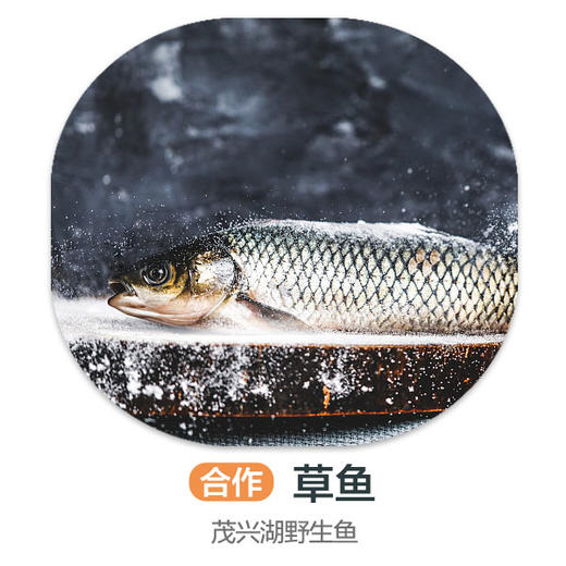 茂兴湖野生草鱼（周四前下单 周六配送 鱼是特殊产品氧气袋发货保鲜不保活） 商品图0