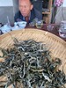 【2021磨烈】临沧贡茶，兼具勐库东、西半山的口感！ 商品缩略图12