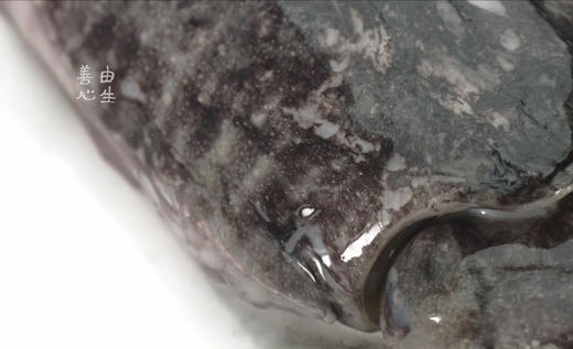 善由心生/墨鱼香肠 商品图7