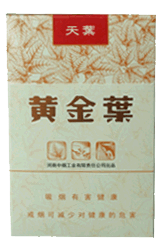 黄金叶（天叶）